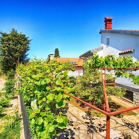 Apartament Ivan 535 *