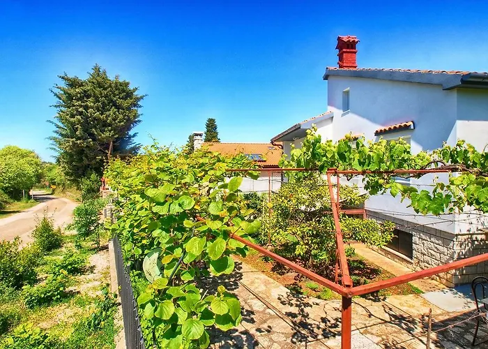 Apartamento Ivan 535 *